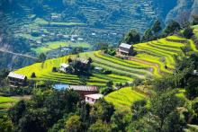 (फोटो - Beesuu Photography)