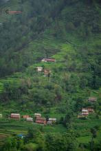 (फोटो - Beesuu Photography)