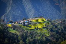 इन्द्रसरोवर -३ ओखर डाडा (फोटो - Beesuu Photography)